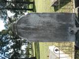 image of grave number 950521